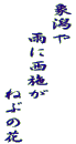 象潟や 　　雨に西施が 　　　　　ねぶの花